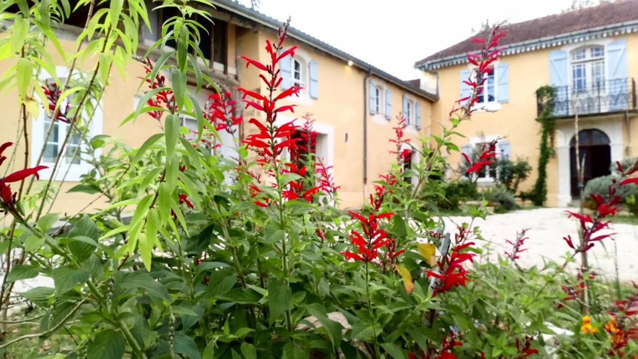 Clos Du Gaja Pres De Jazz In Marciac Troncens Exterior foto